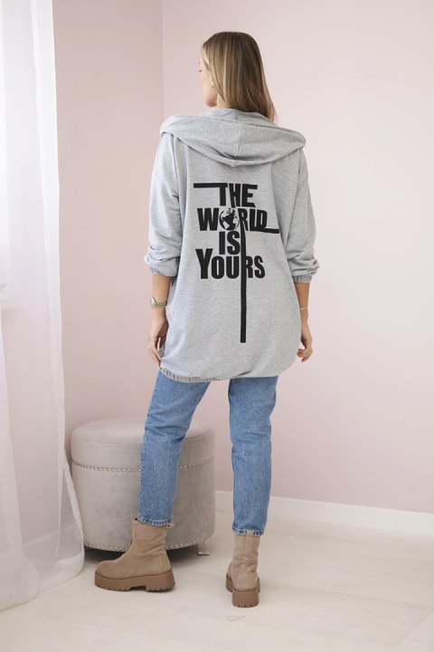 Bluza z nadrukiem "The world is yours" szara