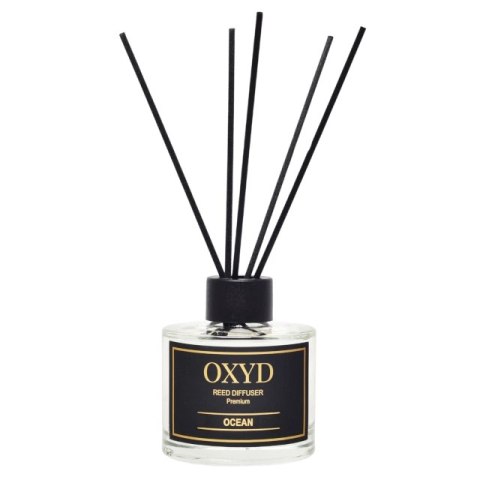 Oxyd Ocean 120 ml - zapach domowy